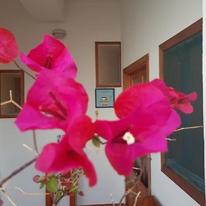 Hotel Residence Il Mulino